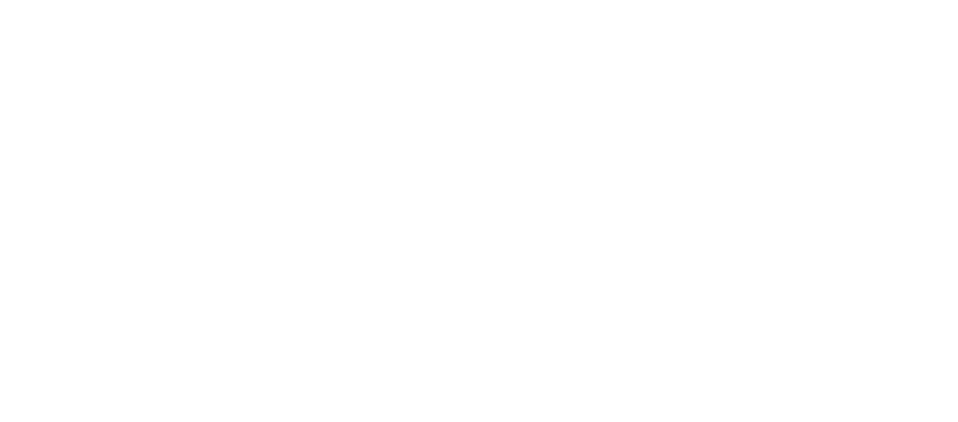 Nexus